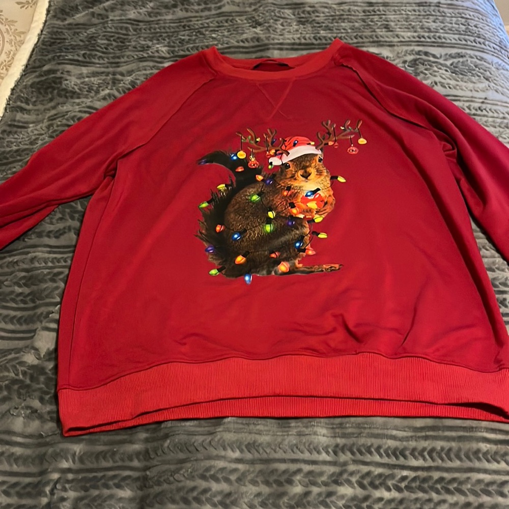 Christmas sweat shirt. Toooo fun!